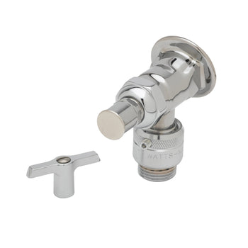 T&S-B-0737-POL: Faucet, Single Wall Mount, with Hose Threads