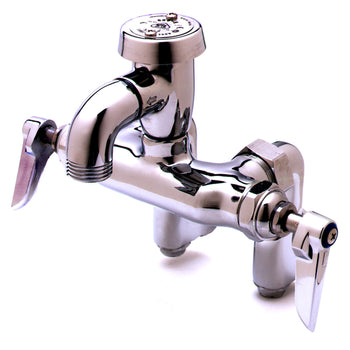 T&S-B-0669-POL: Faucet, Service Sink