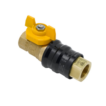 T&S-AG-9E: (Safe-T-Link) Gas Valve