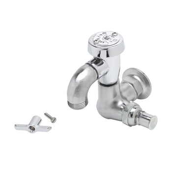 T&S-B-0720-RGH: Faucet, Single Wall Mount, with Hose Threads